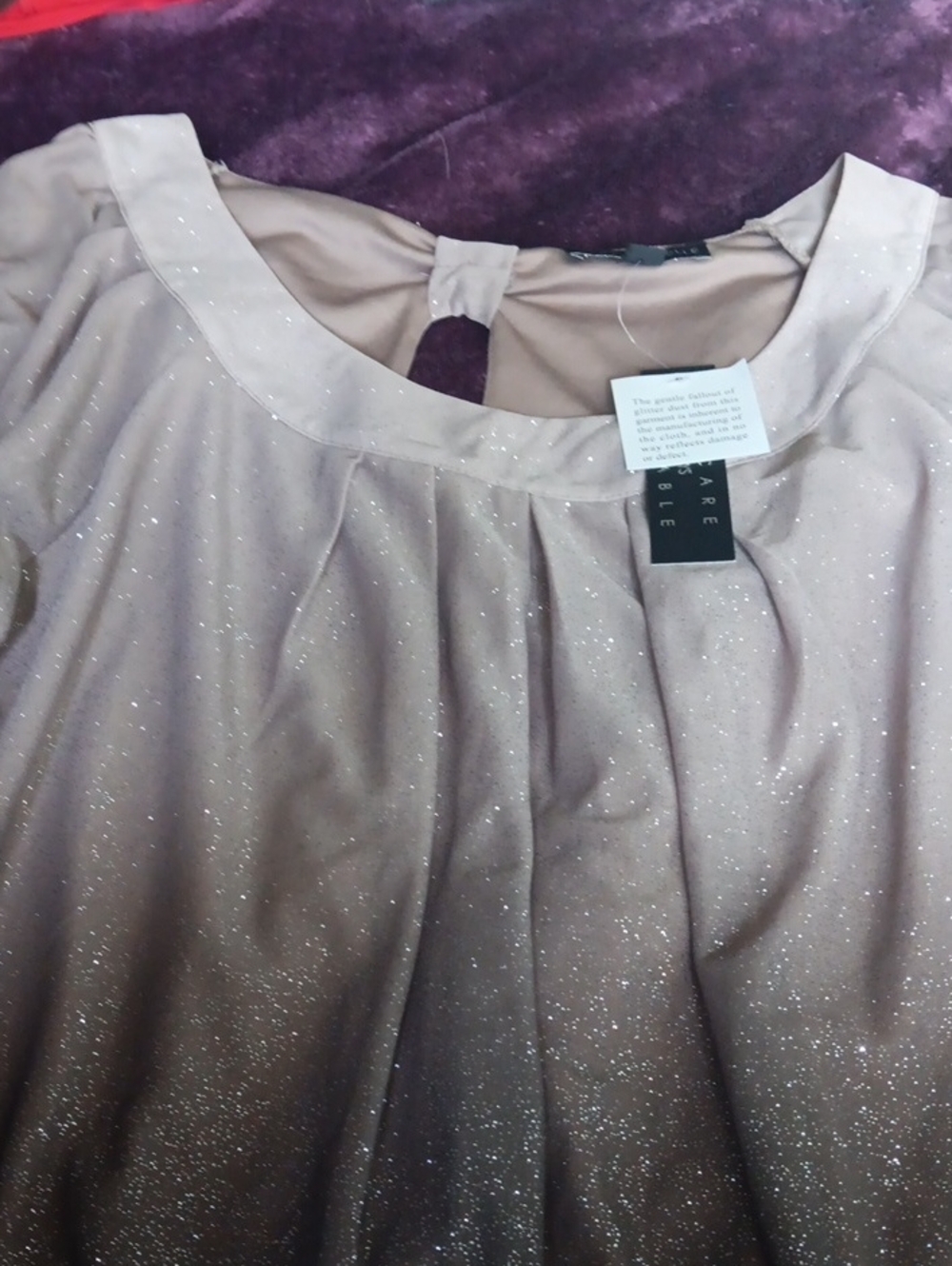 Sara Michelle Sparkle Taupe Blouse